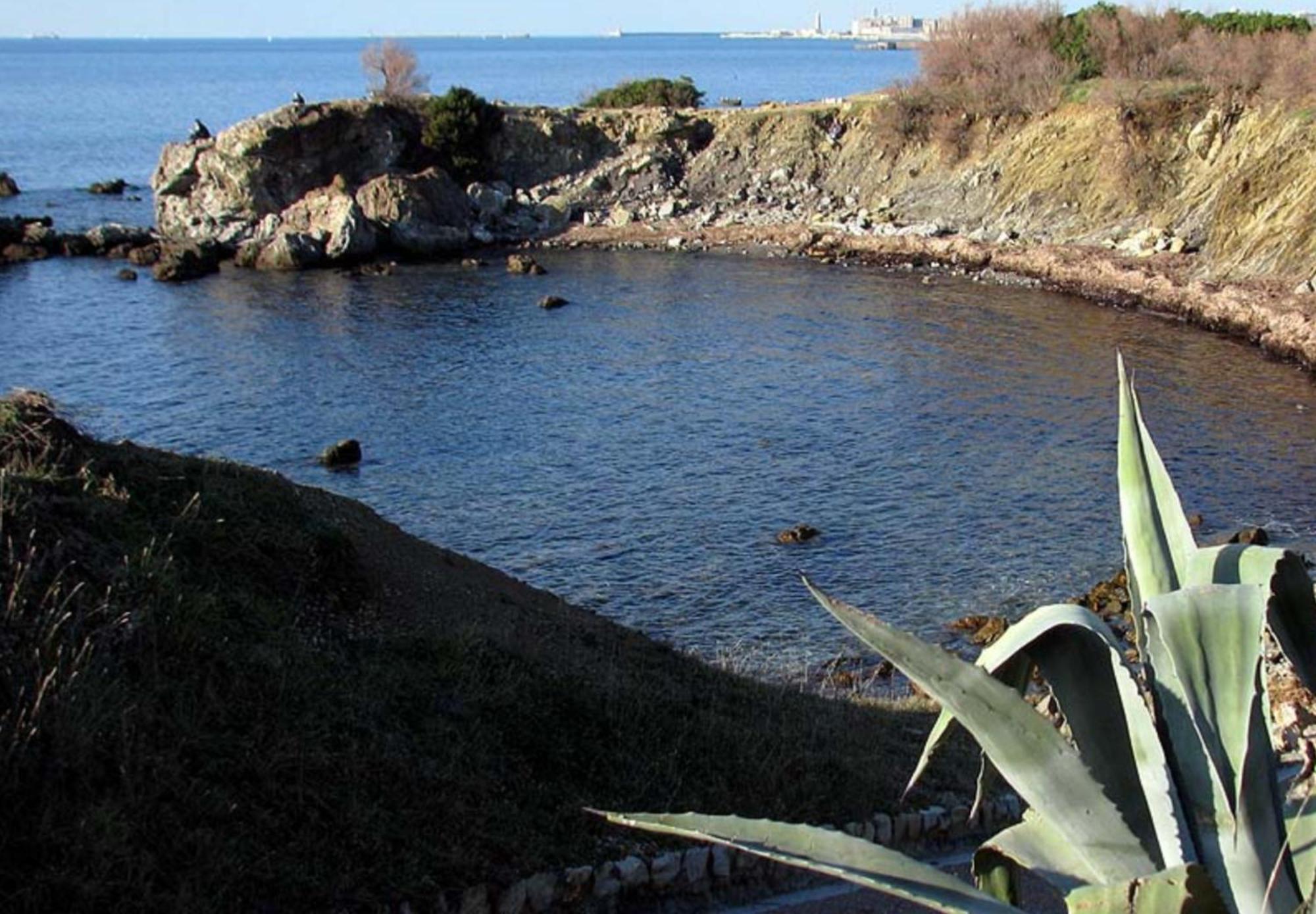 Appartamento A 100 Mt Dal Mare Livorno Kültér fotó